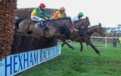 hexham races today